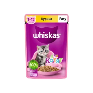 پوچ بچه گربه ویسکاس با طعم مرغ در سس Whiskas Pouch Kitten Wet Food With Chicken Flavor In gravy