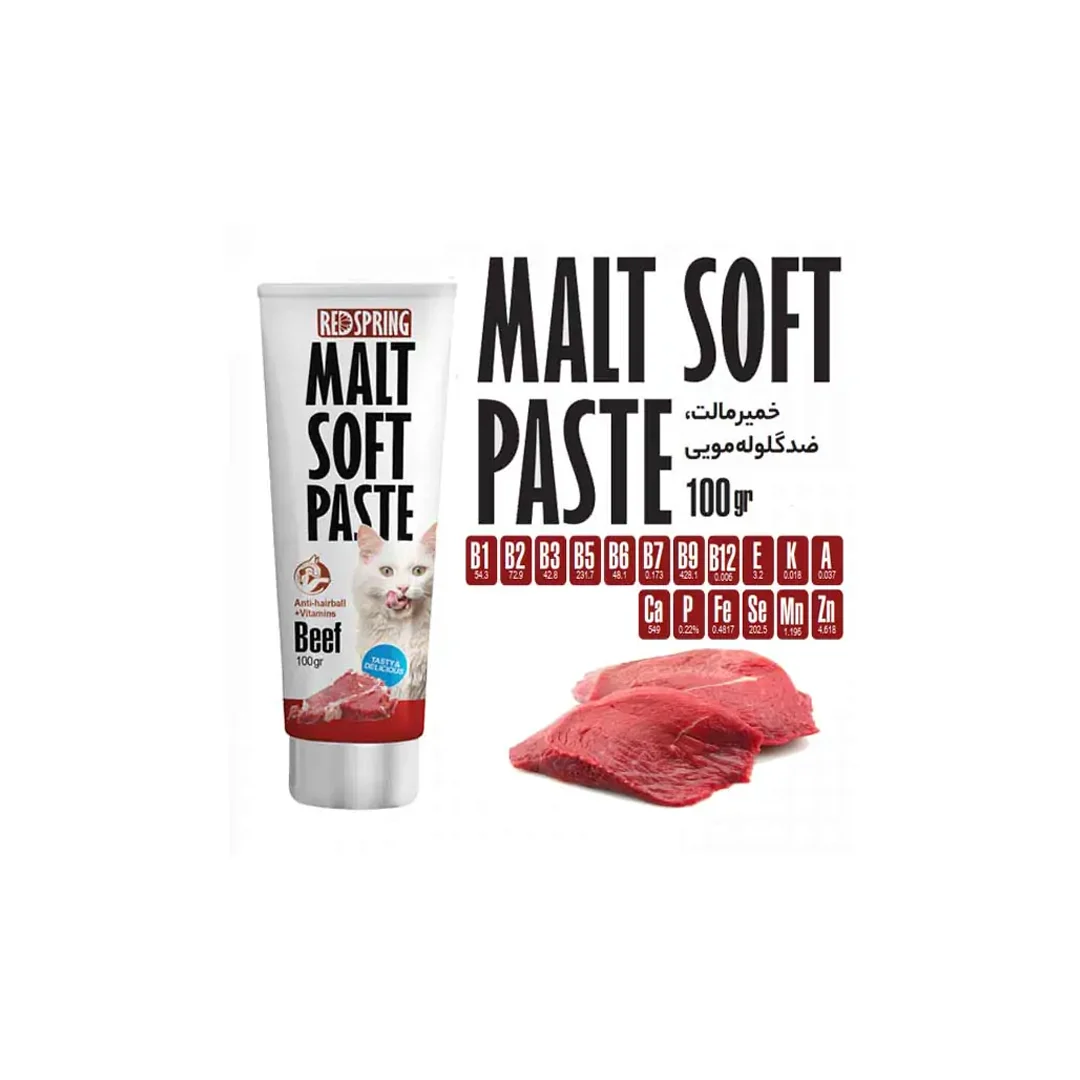 خمیر مالت گربه رداسپرینگ طعم گوشت 100 گرمی Redspring cat malt paste beef 100g