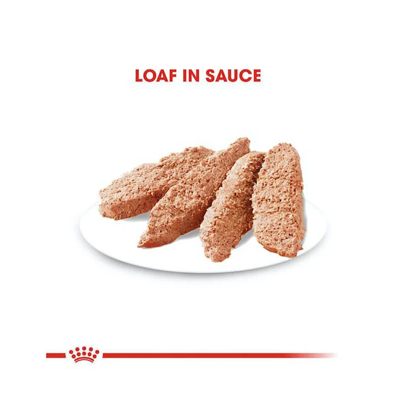 پوچ سگ درماکامفورت رویال کنین Royal Canin DermaComfort وزن ۸۵ گرم