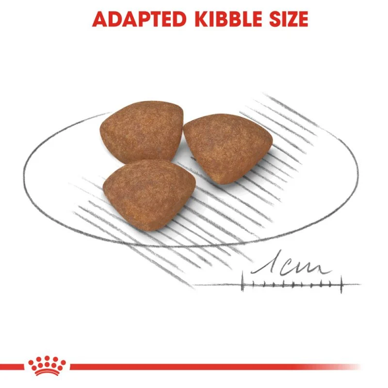 غذای خشک توله سگ نژاد کوچک رویال کنین Royal Canin Mini Puppy وزن 1 کیلوگرم