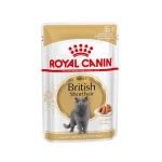 عکس پوچ گربه مو کوتاه بریتیش رویال کنین Royal Canin British Shorthair – وزن 85 گرم – PetYar