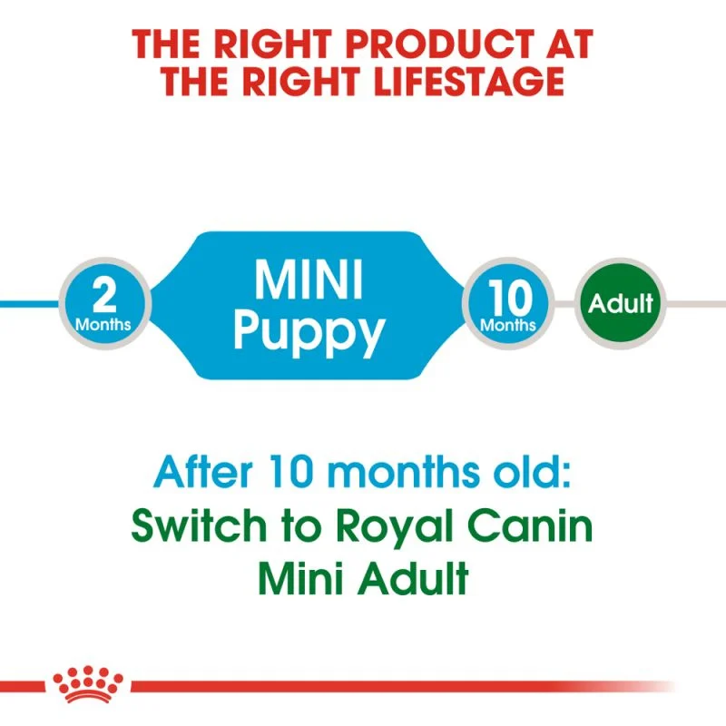 غذای خشک توله سگ نژاد کوچک رویال کنین Royal Canin Mini Puppy وزن 1 کیلوگرم