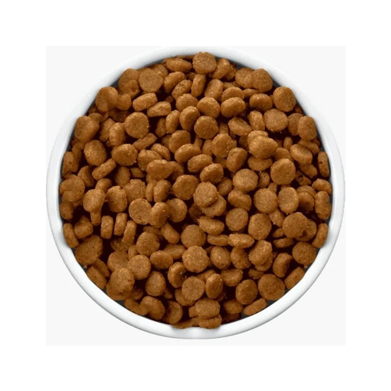 غذای خشک سگ بالغ پرانرژی مونلو Monello Go Adult Dog With Beef وزن ۱ کیلوگرم