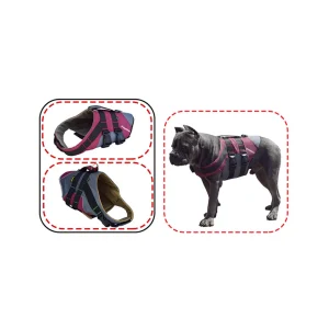 عکس قلاده کتفی سگ مدل بملی – سایزبندی L / XL / XXL