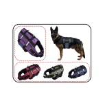 قلاده کتفی سگ دنیل مدل ژوپیتر (JUPITER) – سایزبندی L / XL / XXL