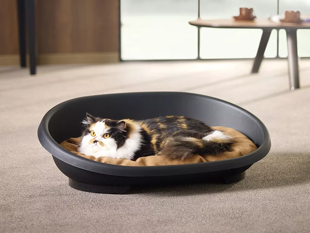 عکس دوم جای خواب سگ و گربه مدل Snooze Medium پلاستیکی – 60×40