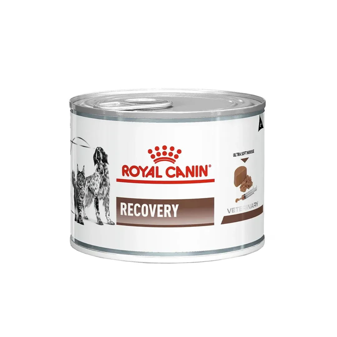 عکس کنسرو ریکاوری سگ و گربه رویال کنین Recovery Wet – 195 گرم